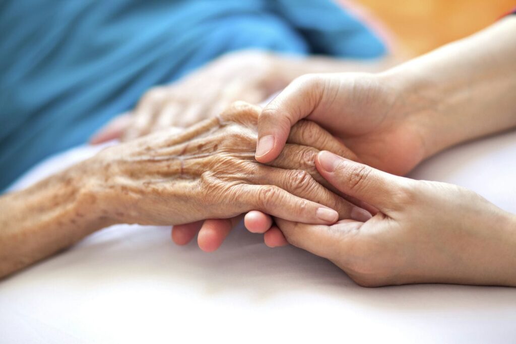 adult holder parents hand